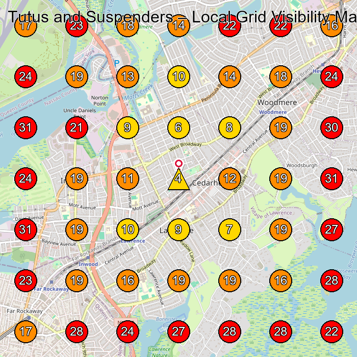 Tutus and Suspenders GeoGrid visibility map for Baby Store in Cedarhurst